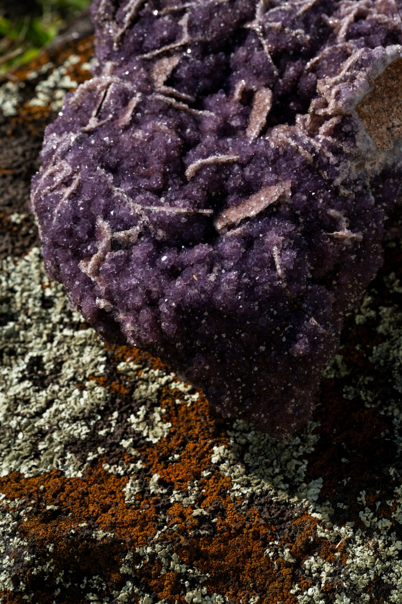 Amethyst cluster