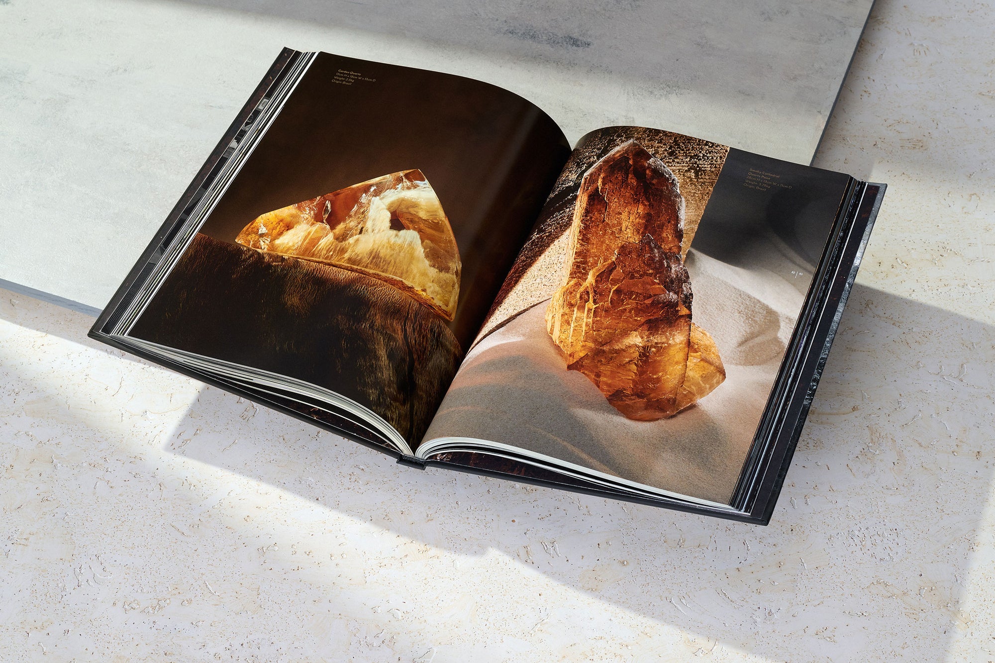 View of interior spread from ARQUIVSTAS by the Dorow Collection. 